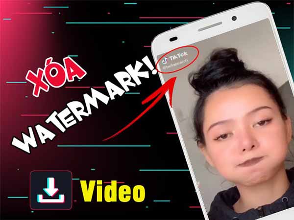 Lưu TikTok không có logo: thông tin cách lưu video TikTok