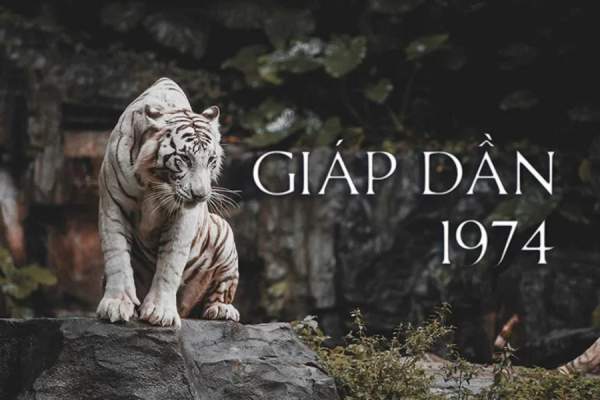 Vận trình tử vi tuổi Giáp Dần 17/12/2025 có gì đáng lưu ý?